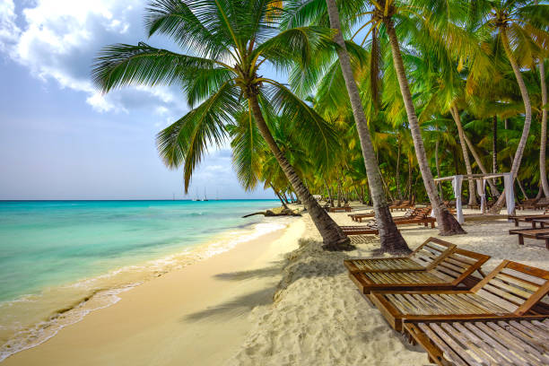 istock palm beach lounge chair 1190420881