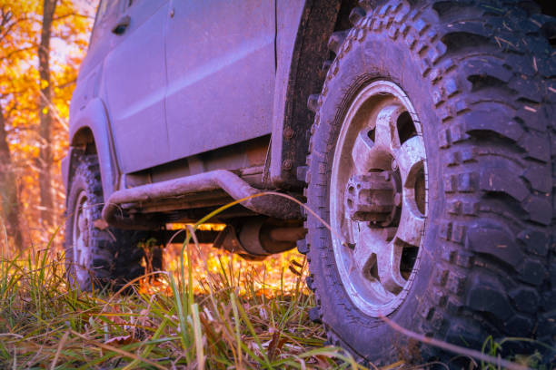 istock Wheels off-road car standing on the grass in the forest 1190420917