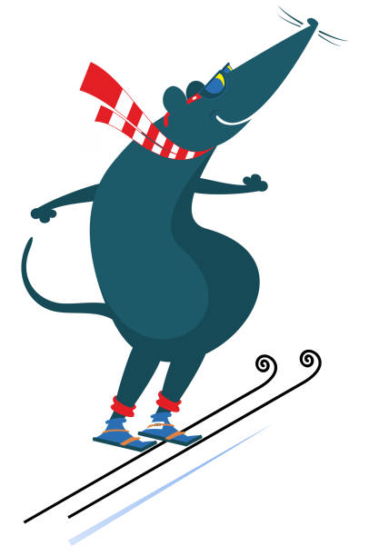 Cartoon rat or mouse a ski jumper illustration Cartoon rat or mouse a ski jumper isolated on white opossum silhouette stock illustrations