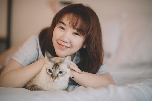 an asian chinese female having bonding time with her pet cat at home in her bedroom