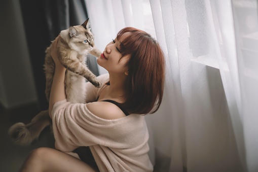 an asian chinese female having bonding time with her pet cat at home in her bedroom