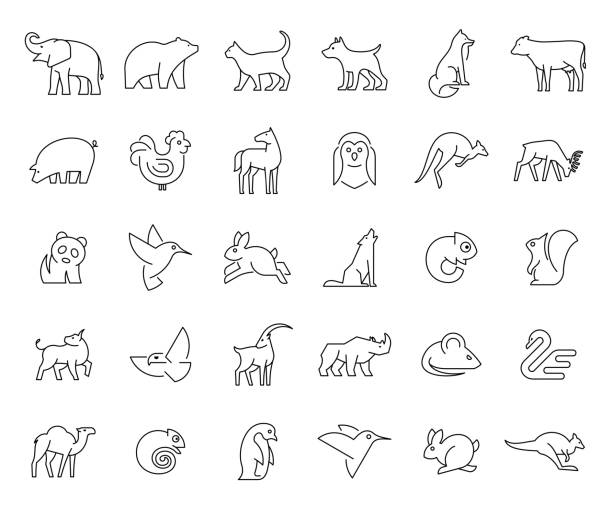 동물 아이콘의 선형 컬렉션 - 3670 stock illustrations