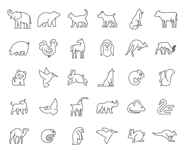 ilustrações, clipart, desenhos animados e ícones de coleção linear de ícones animais - 3670