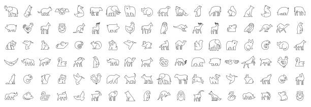 ilustraciones, imágenes clip art, dibujos animados e iconos de stock de colección lineal de iconos de animales - 3690