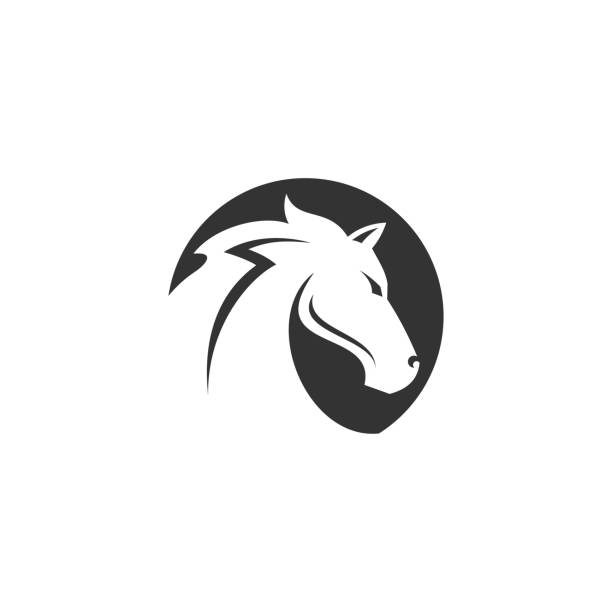 projekt logo black horse, ilustracja wektorowa odizolowana na białym tle - steeplechasing stock illustrations