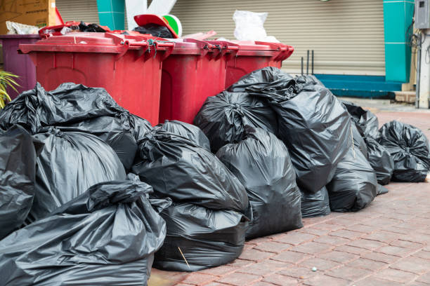 istock bins and colored trash bags 1190427481