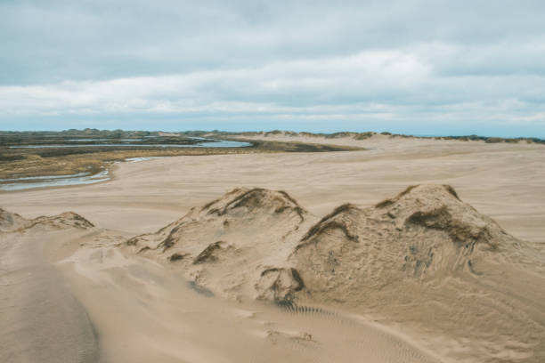 istock Rabjerg Mile, European desert. 1190429461