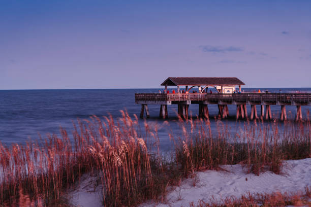 istock Sand dunes on Tybee island 1190430049