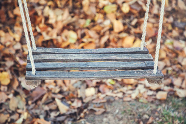 istock wooden rocker in nature 1190432400