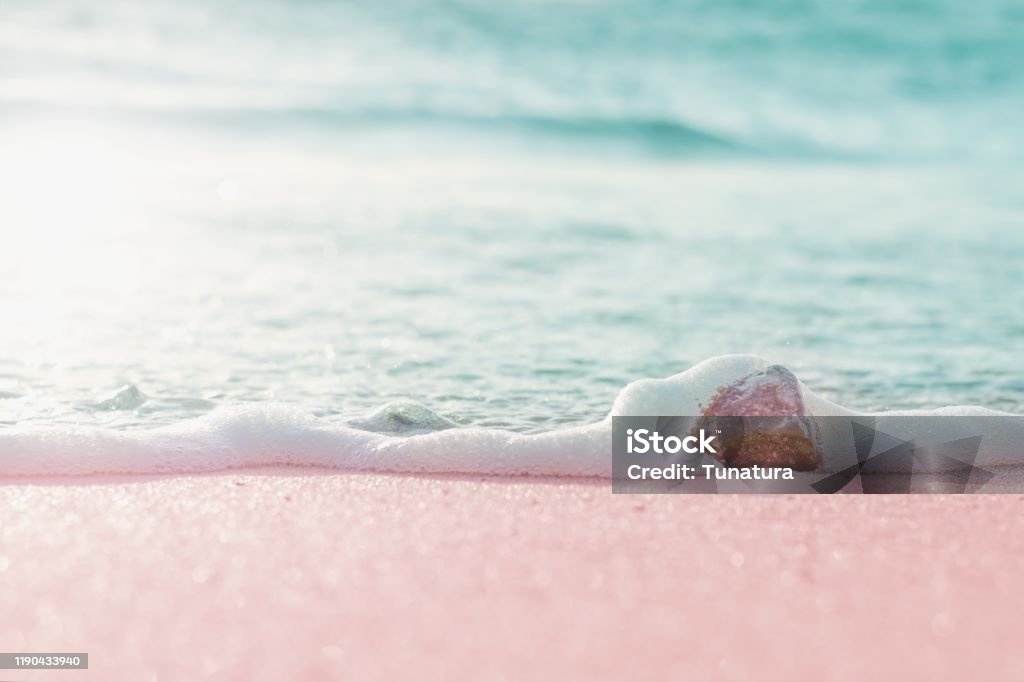 Summer Pastel Colored Background Sandy Beach And Sea Water Over ...