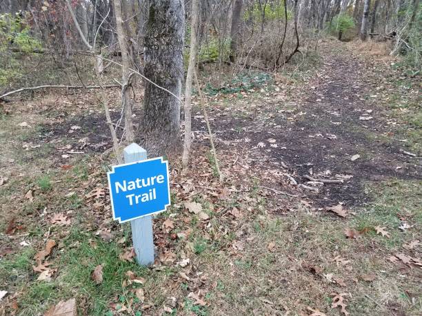 istock blue nature trail sign with trail or path and trees 1190433944