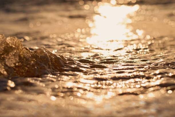 superficie marina scintillante dorata, sfondo astratto - sunrise sun gold sea foto e immagini stock