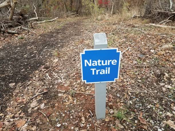 istock blue nature trail sign with trail or path and trees 1190433983