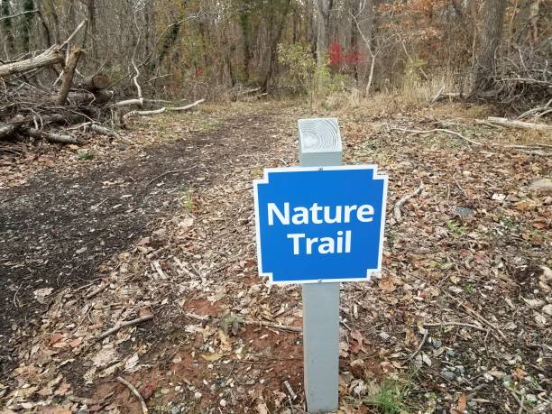 istock blue nature trail sign with trail or path and trees 1190434052