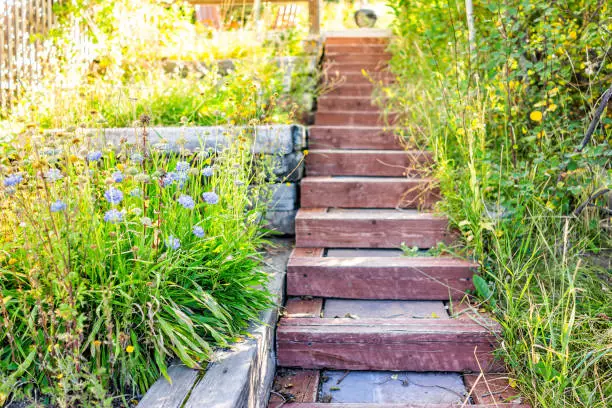 Photo of Flower blue plant decorations landscaping terraced along steep wooden steps on summer day with nobody architecture of garden backyard of house in Colorado