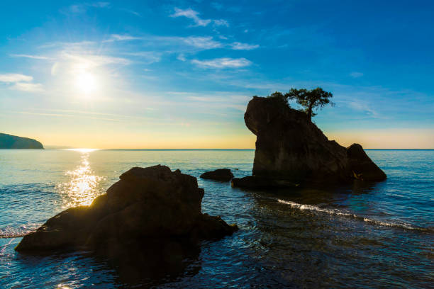 istock Single pine tree on the rock in sea at sunset 1190436331