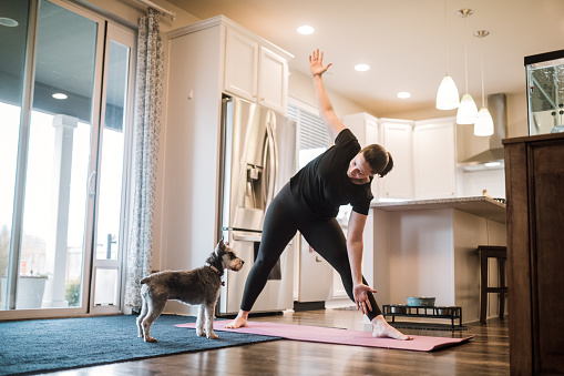 A mature adult woman does yoga and strength training exercises on a mat in her living room, her pet terrier dog keeping her company and trying to play.