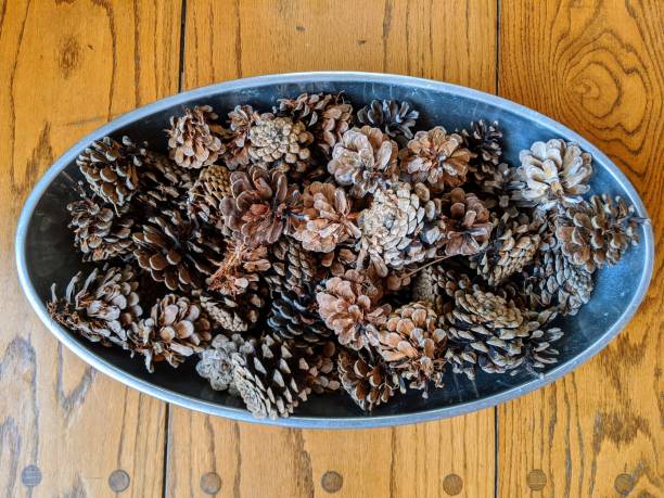 istock Bowl of pinecones 1190437590