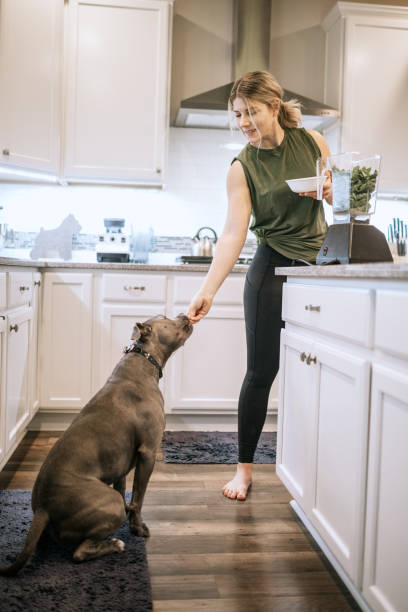 istock Woman Mixing Protein Smoothie After Home Workout 1190437686