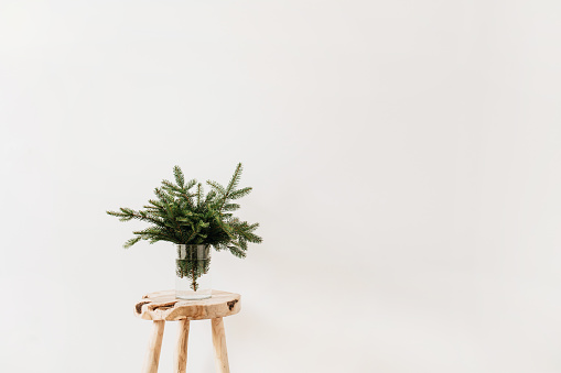 Bouquet of fir-tree branches on solid wooden stool on white background. Minimalistic Christmas composition