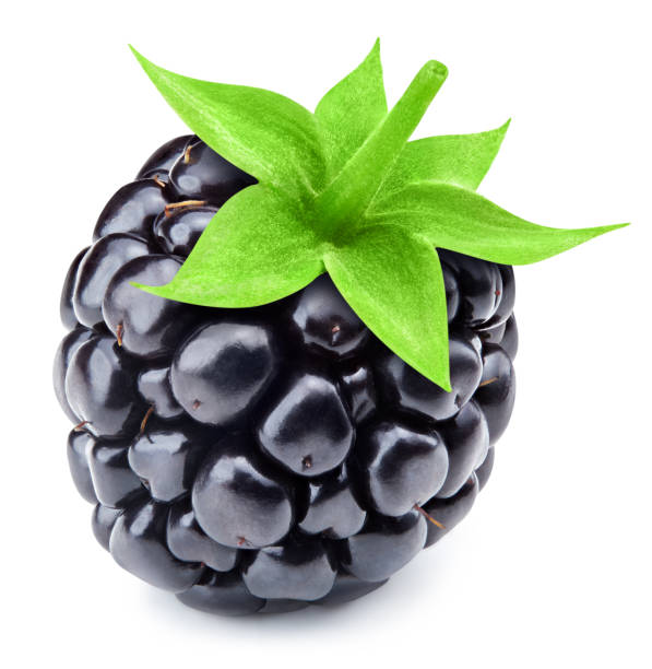 Blackberry leaf isolated Blackberries with green leaf isolated on white background. Blackberry Clipping Path dewberry stock pictures, royalty-free photos & images