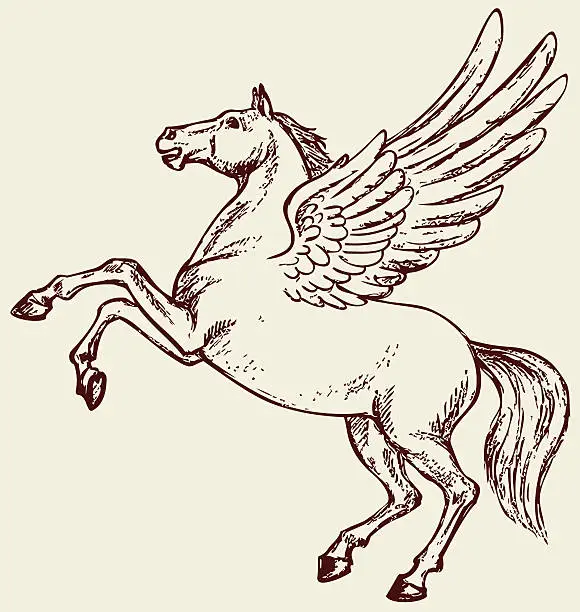 Vector illustration of pegasus