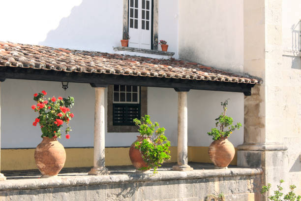 plantas en jarras de arcilla en terraza, obidos, portugal - villa italian culture facade ornamental garden fotografías e imágenes de stock