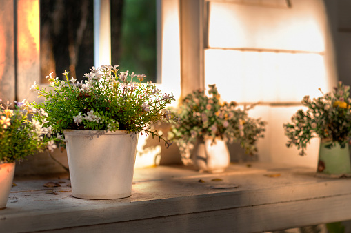 Decorative flowers in white ceramic flowerpot.