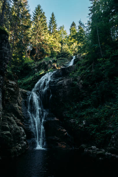 istock Waterfall in the middle of the mountain forest 1190446032