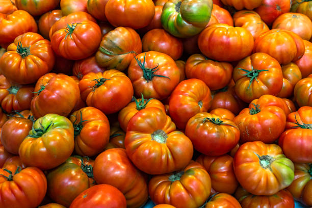 istock Red tomatoes background. Group of fresh tomatoes. 1190446153