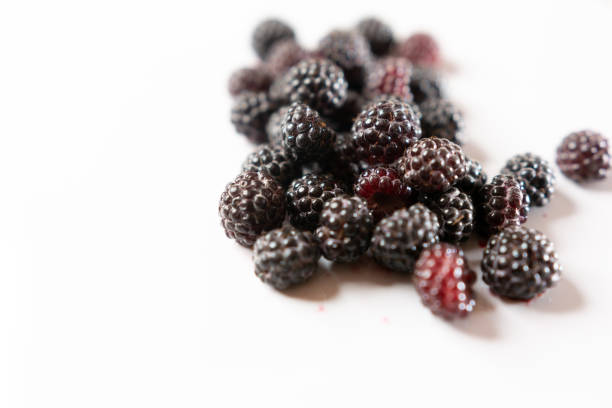 Close-up of fresh red raspberries. The fruit lies on a dark background, which is reflected. A raspberry lies on a metal spoon. There is space for text.