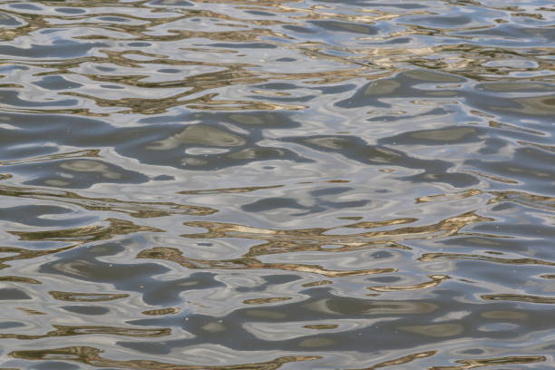 istock Fabulous golden waves on the water 1190451493