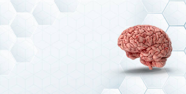istock Medical brain symbol image on white background. 1190453527