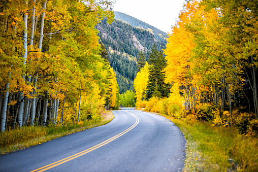 Colorado rocky mountains paved road trip with foliage in autumn fall on trees on Castle Creek scenic road with colorful yellow orange leaves