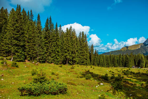 Daytime view of the alpine countryside