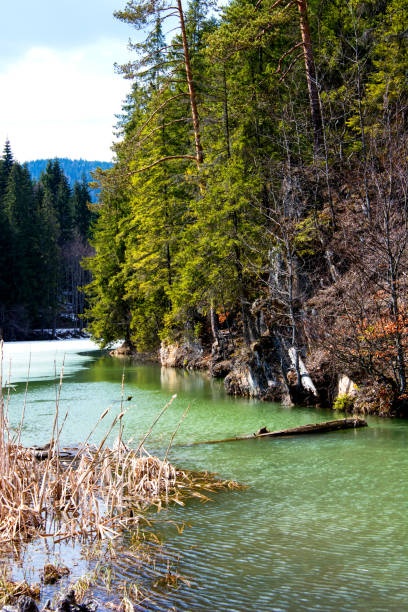 istock Ice is melting at spring on a mountain lake in Romania 1190460844