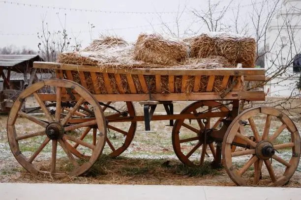 Wooden cart on springs in the yard on a winter cloudy day. The cart is loaded with hay covered with a thin layer of snow.