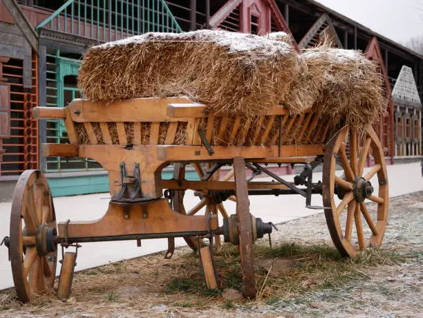 Wooden cart on springs in the yard on a winter cloudy day. The cart is loaded with hay covered with a thin layer of snow.