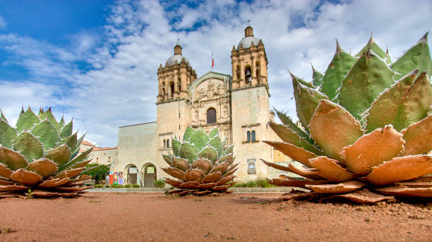 Santo Domingo Church in Oaxaca Mexico Landmark places in Mexico oaxaca city photos stock pictures, royalty-free photos & images