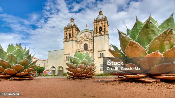 Santo Domingo Church In Oaxaca Mexico Stock Photo - Download Image Now - Oaxaca City, Church of Santo Domingo de Guzmán - Oaxaca, Agave Plant