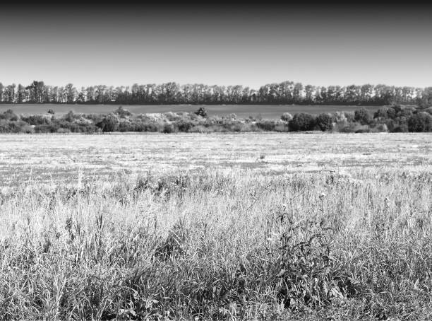 istock Dramatic autumn field landscape background 1190463681