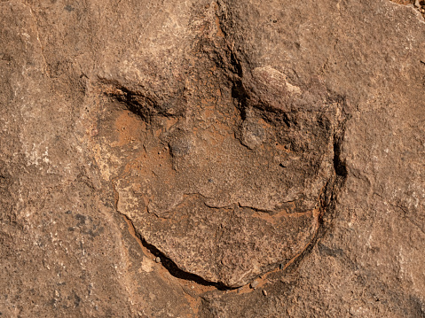 Footprint fossil, Navajo National Monument, preserving some of  the best preserved cliff dwellings in the state of Arizona. USA