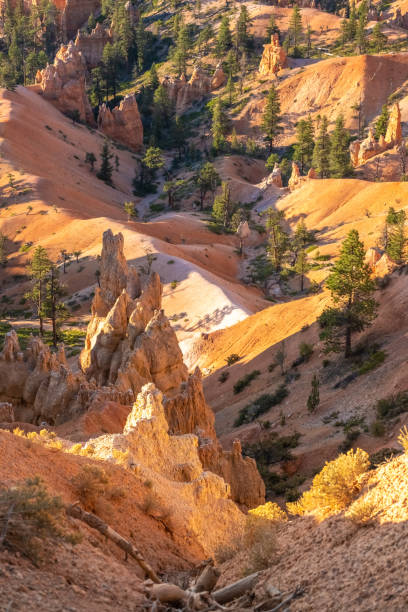 istock Bryce Canyon National Park, Utah, USA 1190463915