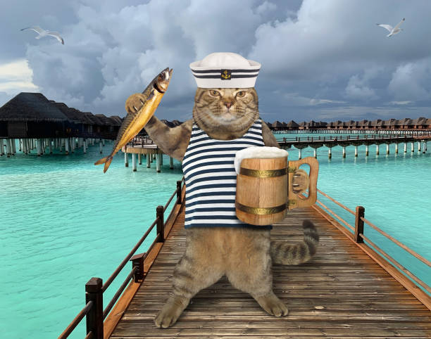 istock Cat sailor with beer on pier 1190471329