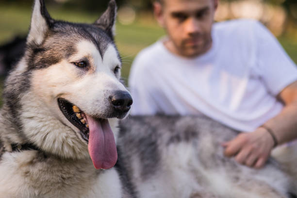 Man lying on the grass with his dog
