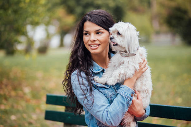 istock Beautiful woman holding the dog 1190483733