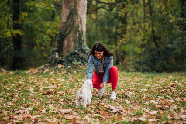 istock Young lady playing with the dog 1190483743
