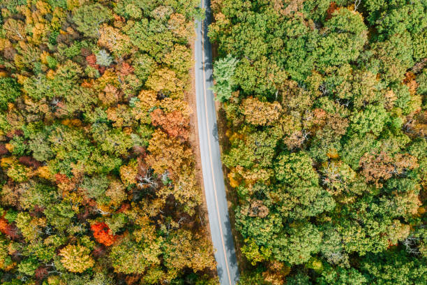 istock Aerial view of a road 1190494470