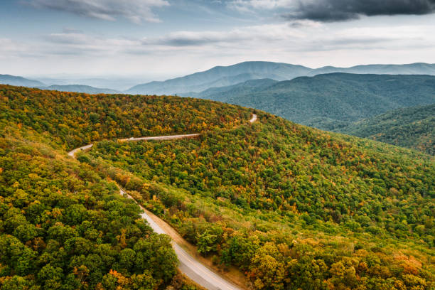 istock Aerial view of empty road leading through a forest 1190494555