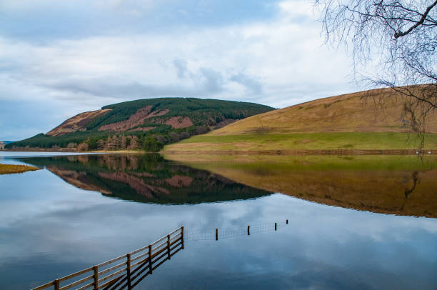 세인트 메리 로크, 스코틀랜드, 반사, 고요한 시골 풍경 - dumfries 뉴스 사진 이미지